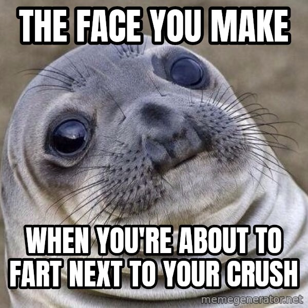 Awkward Seal meme: the face you make / when you're about to fart next to your crush