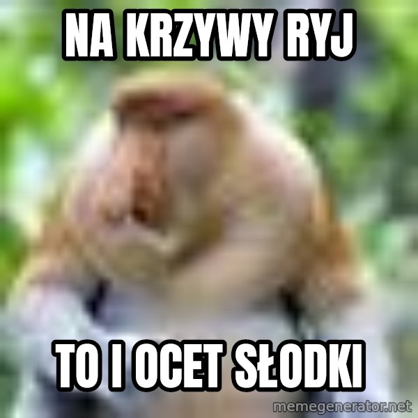 Nosacz Sundajski 22 meme: Na krzywy ryj / To i ocet słodki