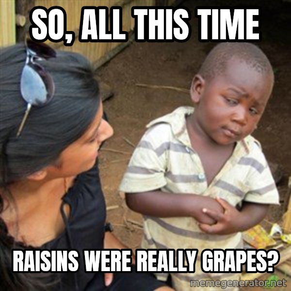 Skeptical 3rd World Kid meme: so, all this time / raisins were really grapes?
