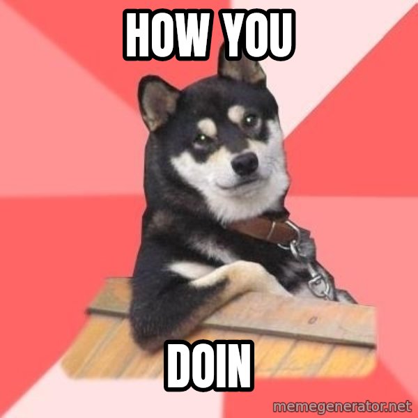 Cool Dog meme: How you / Doin