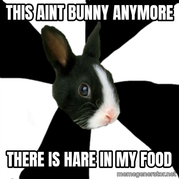 Roleplaying Rabbit meme: This Aint Bunny Anymore / There Is Hare In My Food