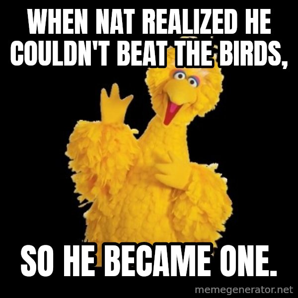 BIG BIRD meme meme: When Nat realized he couldn't beat the birds, / so he became one.