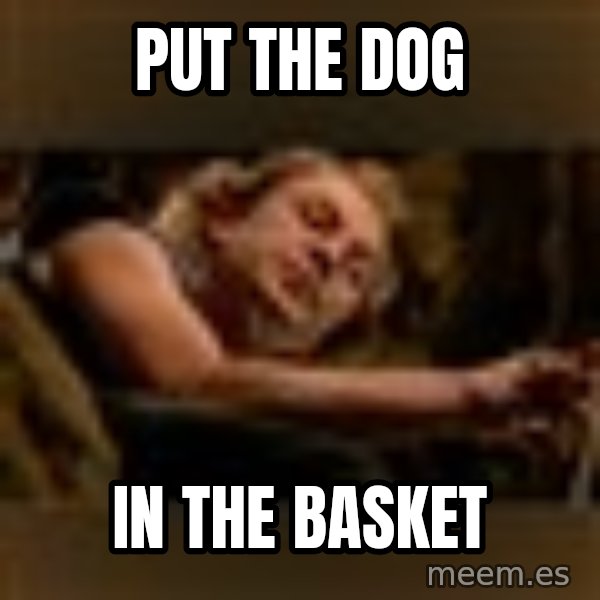 Buffalo Bill - Silence of the Lambs - meme: PUT THE Dog / in the basket