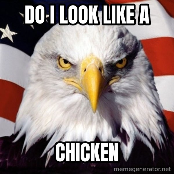 American Pride Eagle meme: do i look like a / chicken