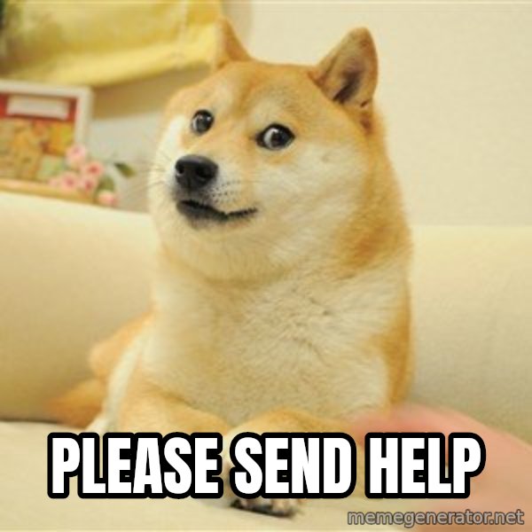 so doge meme: please send help