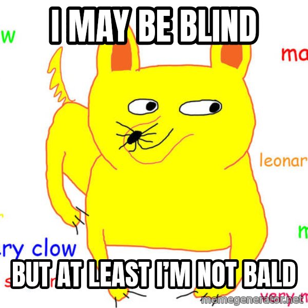What If I Told You meme: I may be blind / But at least I’m not bald