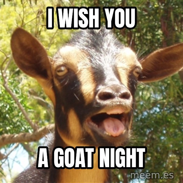 Illogical Goat meme: I wish you / A goat night