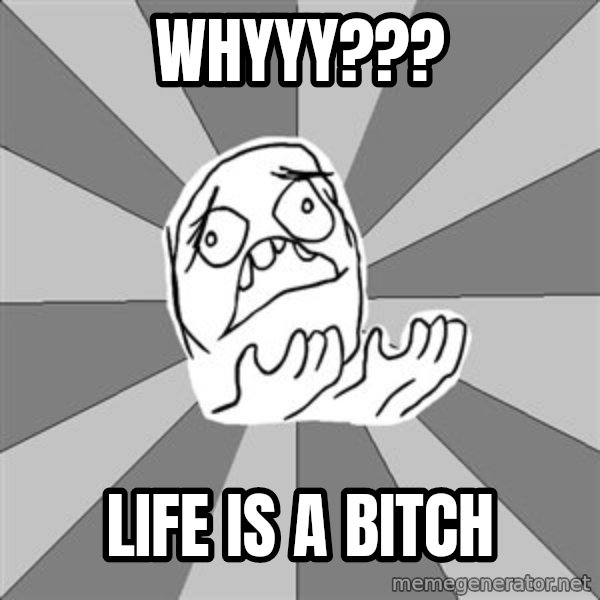 Whyyy??? meme: whyyy??? / life is a bitch