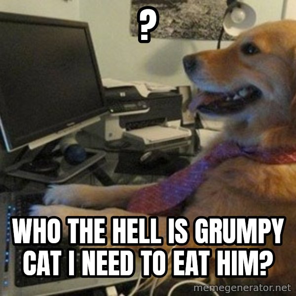 I have no idea what I'm doing - Dog with Tie meme: ? / who the hell is grumpy cat i need to eat him?
