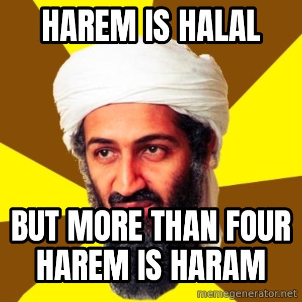 Osama meme: harem is halal / but more than four harem is haram