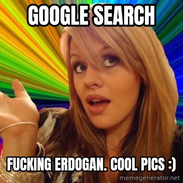 Dumb Blonde meme: google search / fucking erdogan. cool pics :)