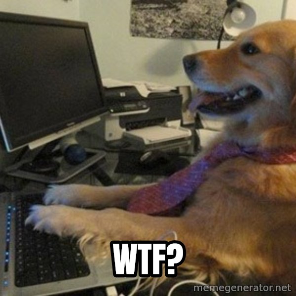 I have no idea what I'm doing - Dog with Tie meme: wtf?