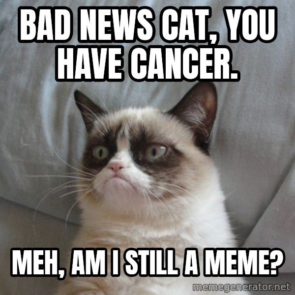 Grumpy cat good meme: Bad news cat, you have cancer. / Meh, am i still a meme?