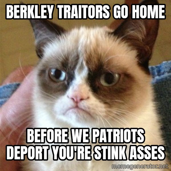 Grumpy Cat  meme: Berkley traitors go home / before we patriots deport you're stink asses