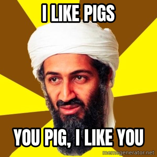 Osama meme: i like pigs / you pig, i like you