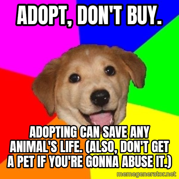 Advice Dog meme: ADOPT, DON'T BUY. / ADOPTING CAN SAVE ANY ANIMAL'S LIFE. (Also, don't get a pet if you're gonna abuse it.)