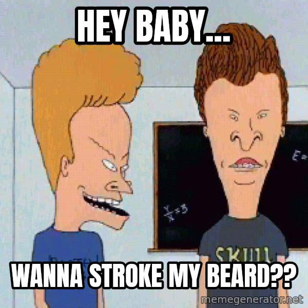 Beavis and butthead meme: Hey Baby... / Wanna stroke My Beard??