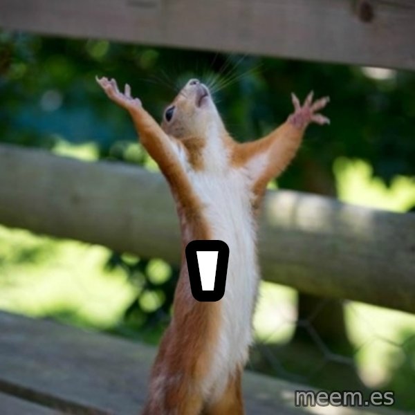 Praising Squirrel meme: '