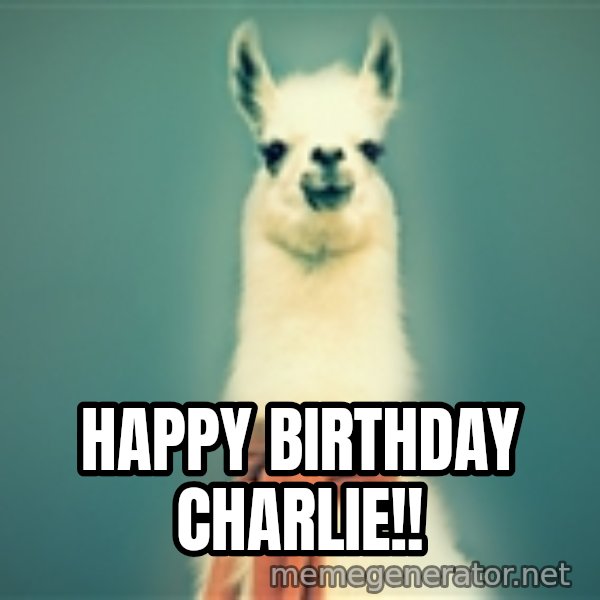 Pancakes llama meme: Happy Birthday Charlie!!