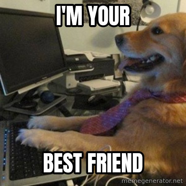 I have no idea what I'm doing - Dog with Tie meme: i'm your / best friend