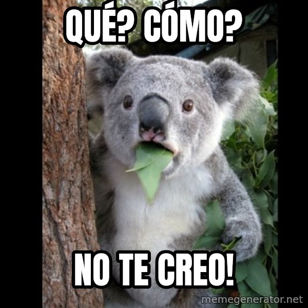 Koala can't believe it meme: Qué? Cómo? / No te creo!