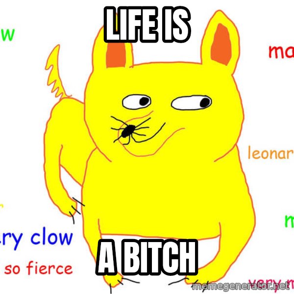 Grumpy Cat  meme: life is / a bitch