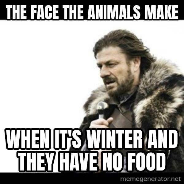 Winter is Coming meme: The face the animals make / when it's winter and they have no food
