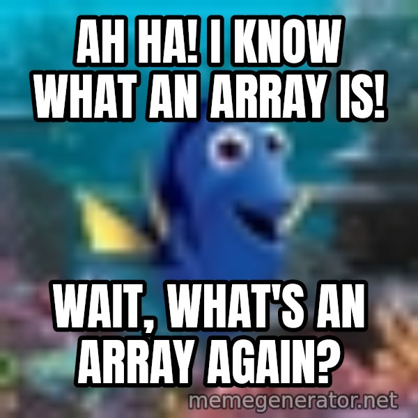 Dory Gets It meme: ah ha! I know what an array is! / Wait, what's an array again?