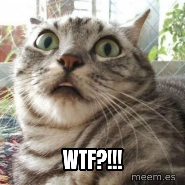 scared cat meme: WTF?!!!