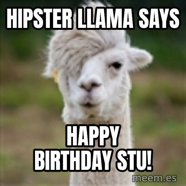Hipster Llama meme: Hipster Llama says / Happy Birthday Stu!