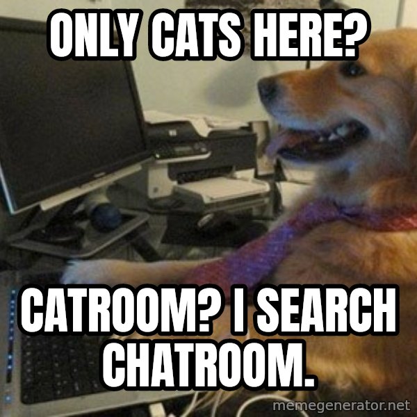 I have no idea what I'm doing - Dog with Tie meme: only cats here? / catroom? i search chatroom.