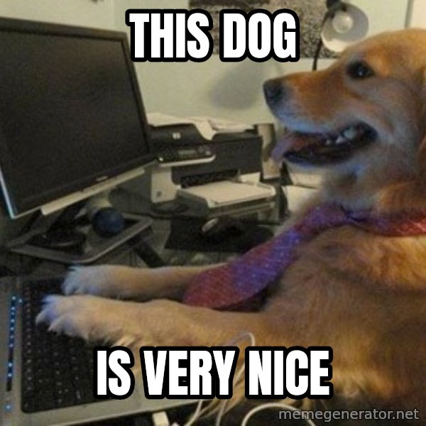 I have no idea what I'm doing - Dog with Tie meme: this dog / is very nice