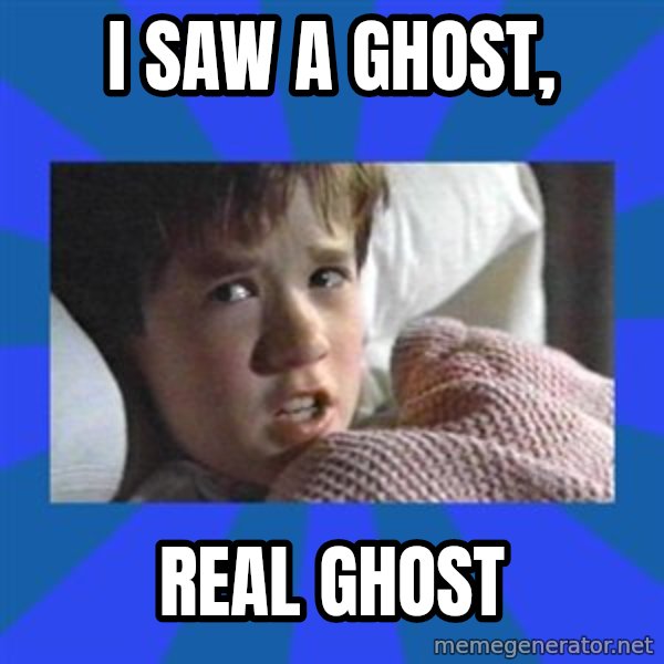 i see dead people meme: I SAW A GHOST, / REAL GHOST