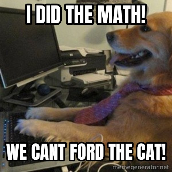 I have no idea what I'm doing - Dog with Tie meme: i did the math! / we cant ford the cat!