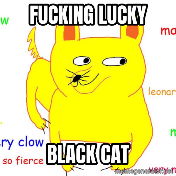 Grumpy Cat  meme: fucking lucky / black cat