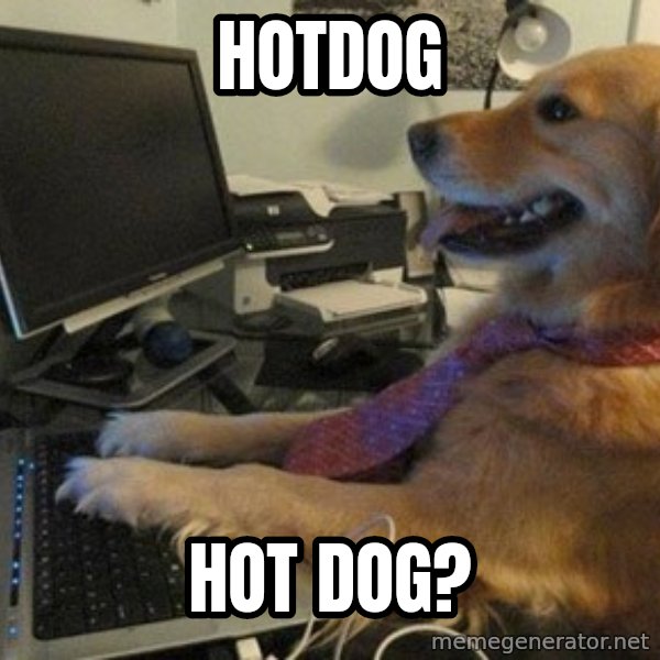 I have no idea what I'm doing - Dog with Tie meme: hotdog / hot dog?