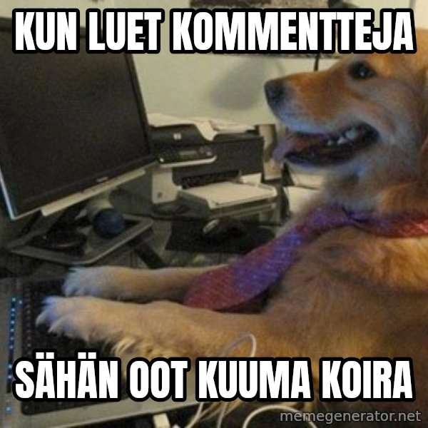 I have no idea what I'm doing - Dog with Tie meme: kun luet kommentteja / sähän oot kuuma koira