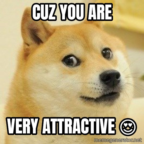 Dogeeeee meme: Cuz You are / Very attractive 😍