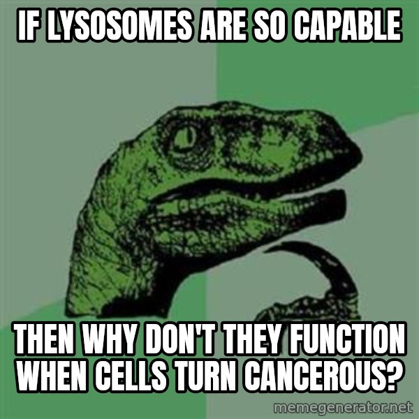 Philosoraptor meme: If lysosomes are so capable / then why don't they function when cells turn cancerous?