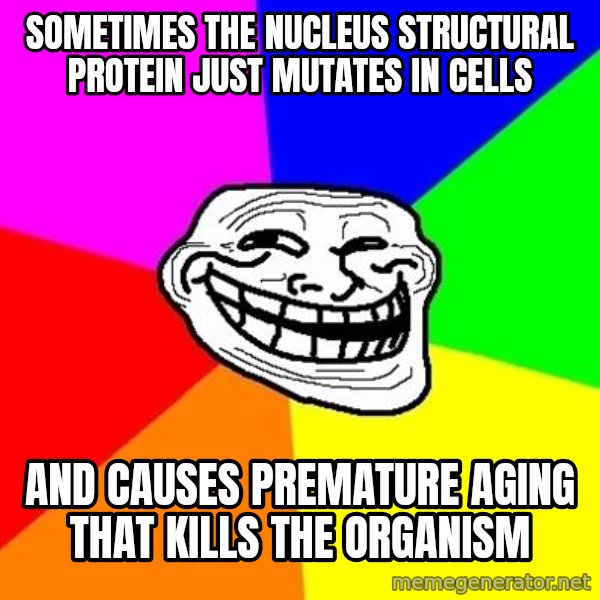 Trollface meme: Sometimes the nucleus structural protein just mutates in cells / and causes premature aging that kills the organism