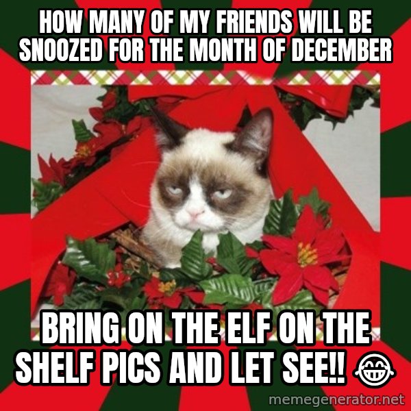 GRUMPY CAT ON CHRISTMAS meme: How many of my friends will be snoozed for the month of December / Bring on the Elf on the shelf pics and let see!! 😂