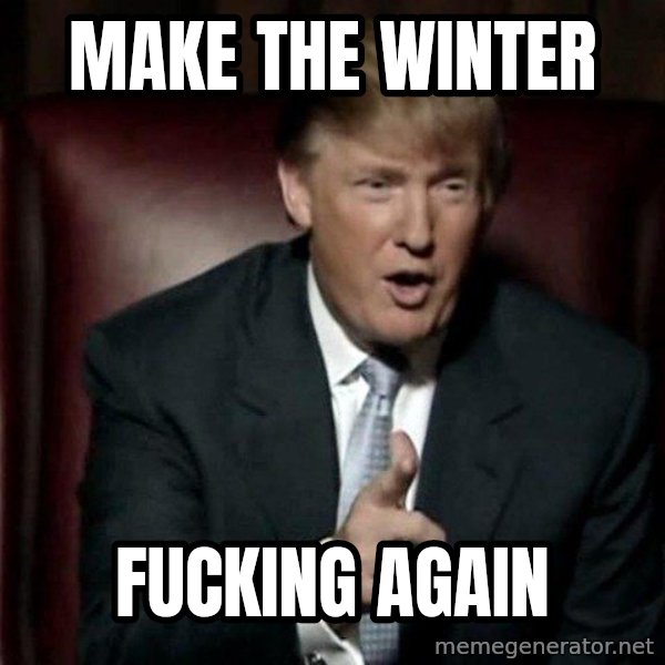 Donald Trump meme: Make the winter / fucking again