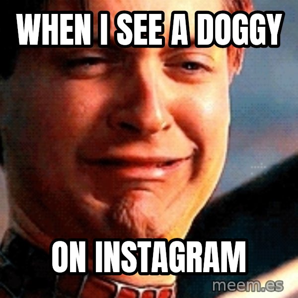 Crying Tobey Maguire meme: when i see a doggy / on instagram
