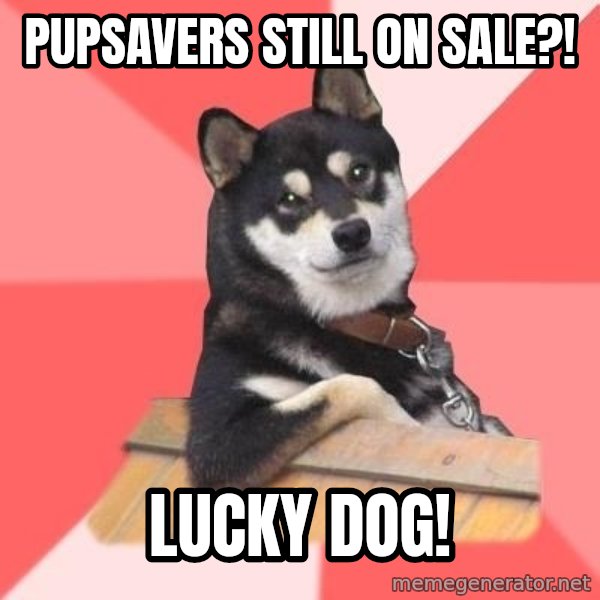 Cool Dog meme: PupSavers Still On Sale?! / Lucky Dog!