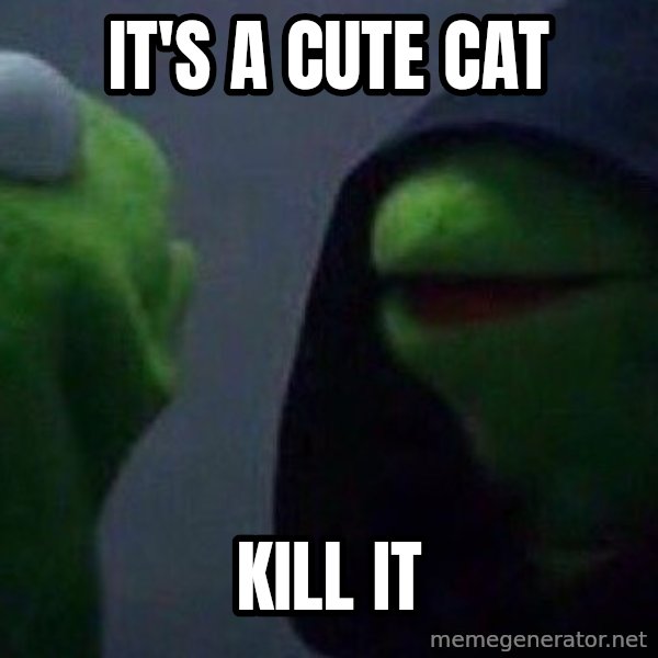 Evil kermit meme: it's a cute cat / kill it