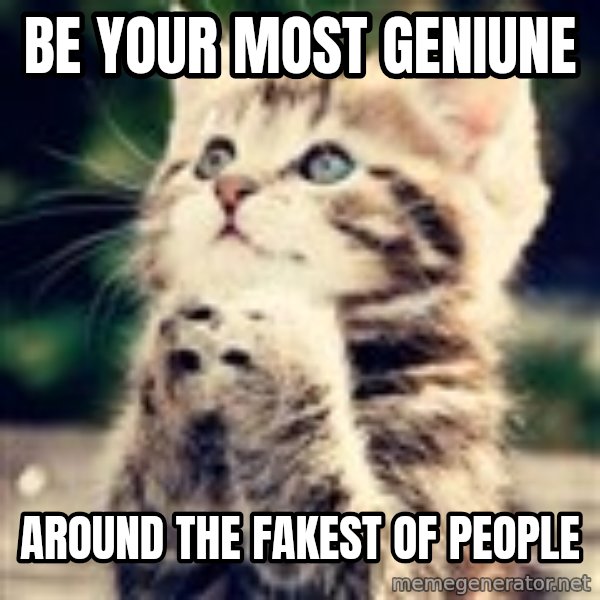 Praying Kitten meme: Be Your Most Geniune / Around The Fakest Of People