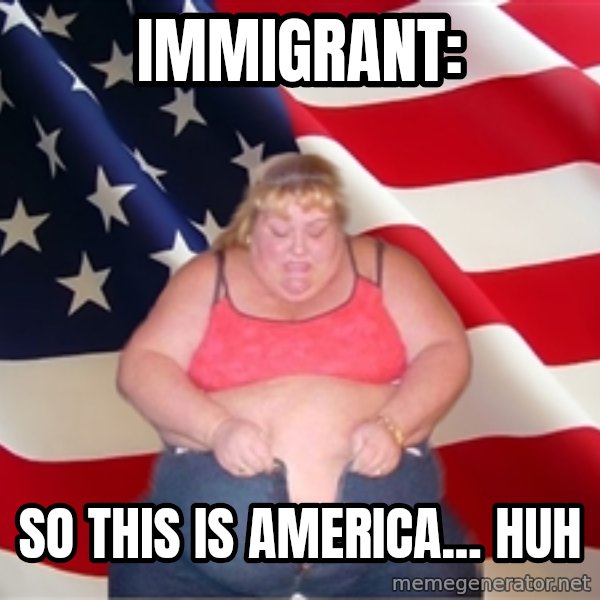 Asinine America meme: Immigrant: / So this is america... Huh