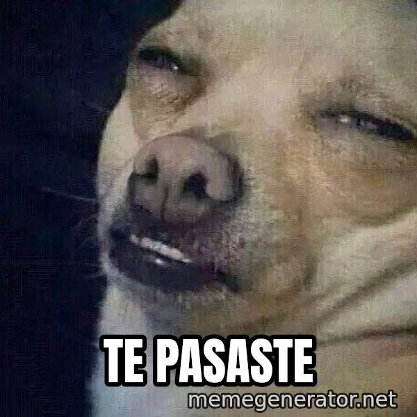 Perro el ql mentiroso meme: Te pasaste