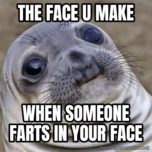 Awkward Seal meme: the face u make / when someone farts in your face