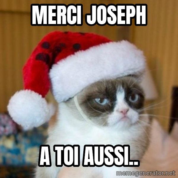 Grumpy Cat Santa Hat meme: Merci joseph / a toi aussi..